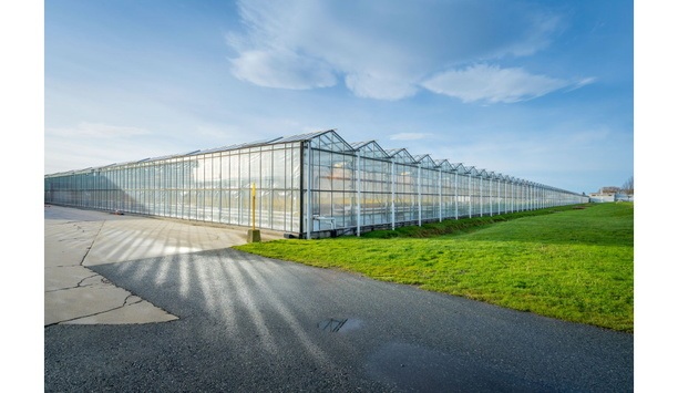 AgraFlora’s Delta Greenhouse Facility Receives Standard Cultivation License From Health Canada