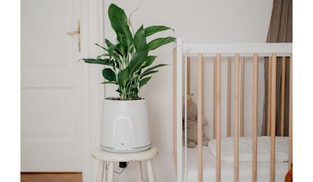 Vitesy Introduces The Only Natural And Sustainable Air Purifier In The Market, Natede Smart